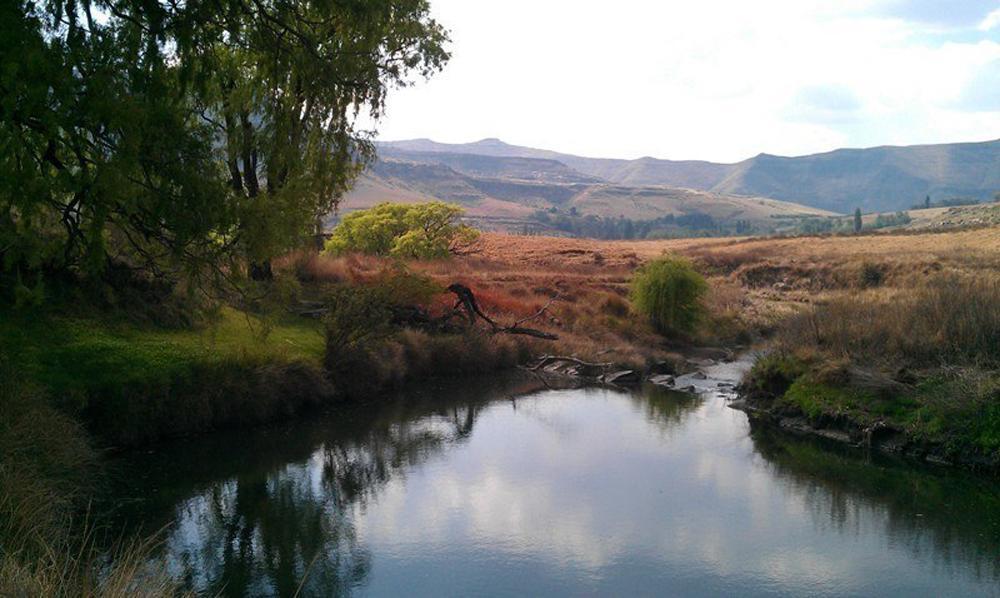 De Molen Farm Villa Clarens Dış mekan fotoğraf