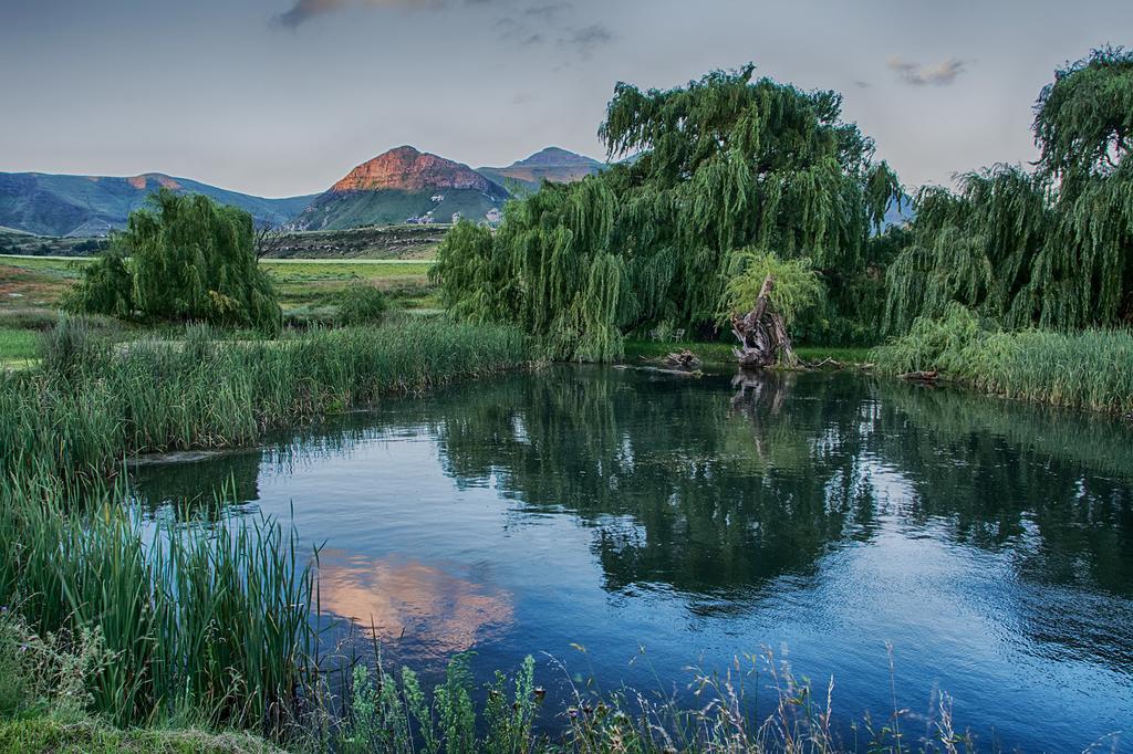 De Molen Farm Villa Clarens Dış mekan fotoğraf