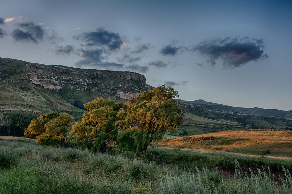 De Molen Farm Villa Clarens Dış mekan fotoğraf